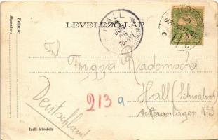 1906 Törökbálint, vár. Izeli felvétele (EK)