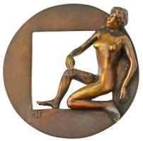 Nagy Lajos Imre (1949-) 2010. "Danaé változat" öntött bronz érem, a tagilletmény érem változata, peremén "10/8" sorszámmal (120mm) T:UNC