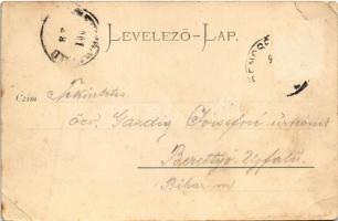 1901 Trencsénteplic, Trencianske Teplice; nyaralók. Gansel Lipót / villas (Rb)