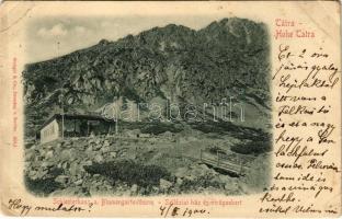 1900 Tátra, Magas-Tátra, Vysoké Tatry; Schlesierhaus u. Blumengartenturm / Sziléziai ház, Virágoskerttorony / Sliezsky dom, Kvetnicova veza / chalet, mountain (EB)