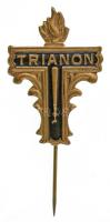 ~1920. "Trianon" festett bronz gyászjelvény (30x21mm) T:AU