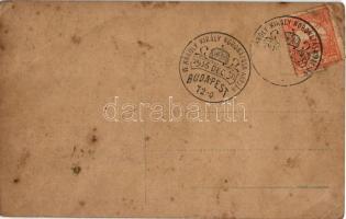 IV. Károly Magyarország apostoli királya koronázásának emlékére 1916 / Charles I of Austria + "...