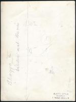 Alapfy Attila (1930-2016): Lóportré: Shagya XL, bábolnai arab törzsmén fotója, fotó, a hátoldalán fe...