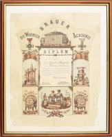 1878 Worms a. Rhein, sörfőző diploma, Wormser Brauer-Academie díszes, litografált oklevele, Gustav Stengelin, tuttlingeni (Württemberg) serfőző részére. Üvegezett keretben, szélei sérültek, 44x36 cm. /   1878 Worms a. Rhein, brewer certificate for Gustav Stengelin of Tuttlingen (Württemberg), litography of the Wormser Brauer-Academie, with damaged edges, in frames, 44x36 cm.