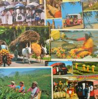 SRI LANKA - 47 db MODERN nagy alakú képeslap / CEYLON - 47 modern big sized postcards