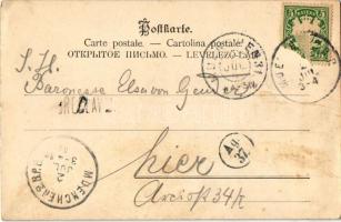 1902 Hunting game with dogs. Theo Stroefer Sport-Postkarte Ser. 195. Nr. 15. (fl)