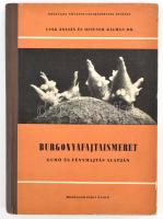 Csák-Hifner: Burgonyafajtaismeret gumó és fényhajtás alapján. Bp., 1955, Mezőgazdasági. Kiadói félvászon kötés, jó állapotban.