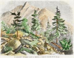 cca 1850 Tátra a kopárpataki zuhtaghoz vezető út a Lomnici csúccsal szeneztt fametszet paszpartuban 19x15 cm