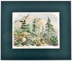 cca 1850 Tátra a kopárpataki zuhtaghoz vezető út a Lomnici csúccsal szeneztt fametszet paszpartuban ...