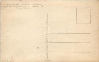 Siófok, 6-sitziges Junkers Gnazmetall Verkehrsflugzeug der Aeroexpress Rt., Plattensee. Meisenbach R...