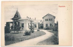 1910 Zaguzsén, Zagujeni (Temes); Jakabffy Imre kastélya. 643. Szénásy Béla kiadása / villa, castle