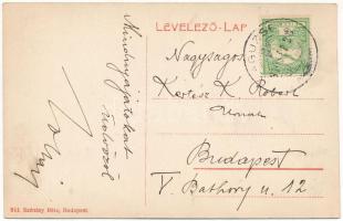 1910 Zaguzsén, Zagujeni (Temes); Jakabffy Imre kastélya. 643. Szénásy Béla kiadása / villa, castle