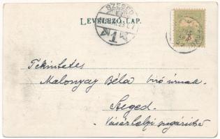 1905 Temeshidegkút, Hidegkút, Sabran-Guttenbrunn, Zabrani; utca, templom, Robert Szladek üzlete és s...