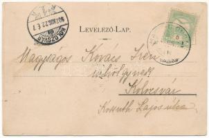 1902 Büdöspataka-fürdő, Bizusa-Bai; Erzsébet kút, Pavilon, Nagy vendéglő, étterem. Szabó fivérek kia...