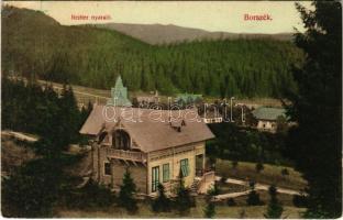 1907 Borszék, Borsec; Reitter nyaraló / villa (EK)