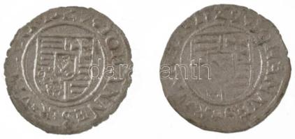 1527K-T Denár Ag "I. Szapolyai János" (0,36g) + 1529R-A Denár Ag "I. Szapolyai János&...