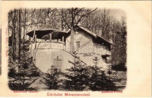 Szlatinafüred, Slatina (Aknaszlatina, Máramaros); Pável sósfürdő, Félix villa. Berger Miksa kiadása / spa villa