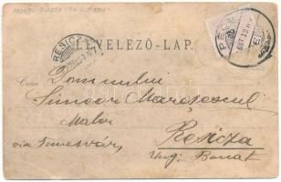 1901 Zernest, Zernyest, Zarnesti; Piatra Craiului / Der kleine Königstein, Crepatura, Der grosse Kön...