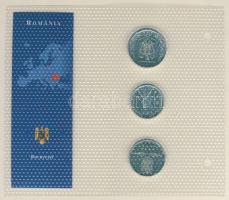 Románia 1999-2004. 500L, 1000L, 5000L, kereskedői szettben T:1