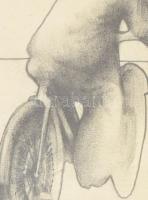 Jelzés nélkül: Kerékpárversenyző. Ceruza, papír, üvegezett fakeretben, 15x10 cm