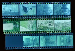 11 db fotótasak, bennük vegyes negatívokkal