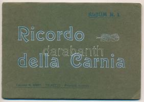 Carnia, Ricordo della Carnia. Album N. 1. / Italian leporello booklet with 11 cards (non PC) (EK)