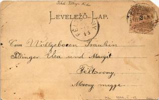 1899 (Vorläufer) Pozsony, Pressburg, Bratislava; Ferenc József híd / Franz Josephsbrücke / bridge (E...