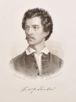 Zilahy Károly: Magyar koszorusok albuma. Irói élet- és jellemrajzok. Bp., 1863, Heckenast Gusztáv, (...