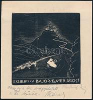 Radványi Román Károly (1900-1957): Bajor Ágost ex libris, fametszet, papír, jelzett, 11,5×10,5 cm