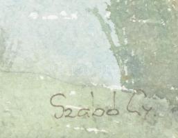 Szabó György (1927-2017): Szigethalmi Dunapart. Akvarell, papír, jelzett, 27x18 cm, üvegezett fakere...