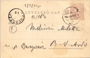 1899 (Vorläufer) Miskolc, Városház tér, városháza, piac. Ferenczi B. kiadása (lyuk / pinhole)