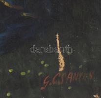 G. Csányi S. jelzéssel? Madonna gyermekével. Olaj, vászon, jelzett, felületi sérülésekkel, hátul két...