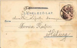 1898 (Vorläufer) Arad, Vértanú szobor, színház, Fő tér. Lengyel Lipót kiadása / martyrs statue, thea...