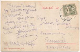 1915 Arad, Maros folyó, úszó hajómalom. Kerpel Izsó kiadása / Mures riverside, floating ship mills (...