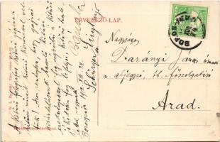 1912 Borosjenő, Borosineu, Ineu; Körös részlet. W.L. Bp. 5261. 1911-13. Kleindl Mátyás kiadása / Cri...
