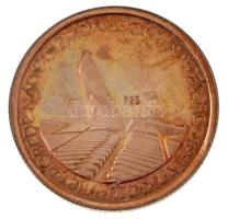 Jugoszlávia 1975. "A fasizmus felett aratott győzelem és Jugoszlávia felszabadításának 30. évfo...