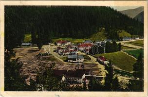 1933 Vereskő, Cervená Skala (Királyhegyalja, Sumjácz, Sumiac); fűrésztelep. Kiadja Ján Kysely / sawmill (fl)