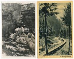 2 db RÉGI erdőipari képeslap facsúszdával: Kőrösmező és Felsővisói Vasérvölgy / 2 pre-1945 forestry postcards with wooden slides: Yasinya, Viseu de Sus