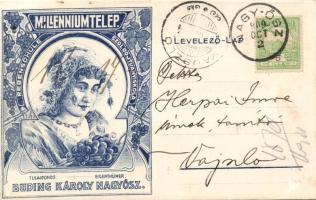 Millenium yard of Károly Buding litho (EB)