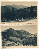 Felsővisó, Felső-Visó, Viseu de Sus; Torojága-csúcs, Priszlop út - 2 db régi képeslap / Varful Toroiaga, Prislop - 2 pre-1945 postcards