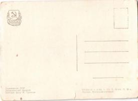 Kárpátaljai favágó / Transcarpathian lumberjack, folklore - modern (EK)