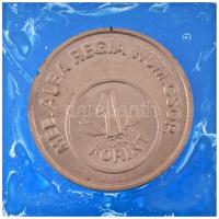 1986. "MÉE Alba Regia Num. Csop. / 40 éves a Forint - Székesfehérvár" Al emlékérem tokban ...