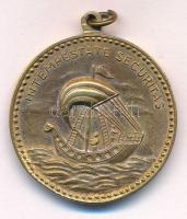 DN "Sárkányölő Szent György" kétoldalas aranyozott bronz emlékérem füllel (30mm) T:AU