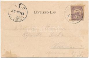 1901 Buziásfürdő, Buziás, Baile Buzias; Gyógyterem, étterem és kávéház, hideg-vízgyógyintézet, Mihál...