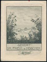 Adolf Kunst (1882-1937): Gehört Dr. Freih. v. Hoschek. Rézkarc, papír, jelzett a karcon, 15x11 cm