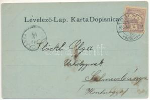 1900 Ogulin, Gjulin Skok / general view, cave. H. Krapek Art Nouveau, floral (fl)