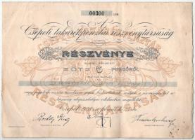 Csepel 1928. "Csepeli Takarékpénztár Részvénytársaság" részvénye 5P-ről, szárazpecséttel T:F kis szakadás