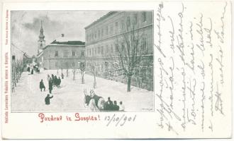 1901 Goszpics, Gospic; utca télen, lovasszán / street view, in winter, horse sleigh (EK)