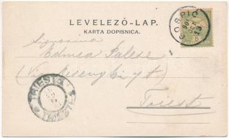 1901 Goszpics, Gospic; utca télen, lovasszán / street view, in winter, horse sleigh (EK)