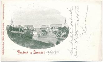 1901 Goszpics, Gospic; látkép / general view (kis szakadás / small tear)